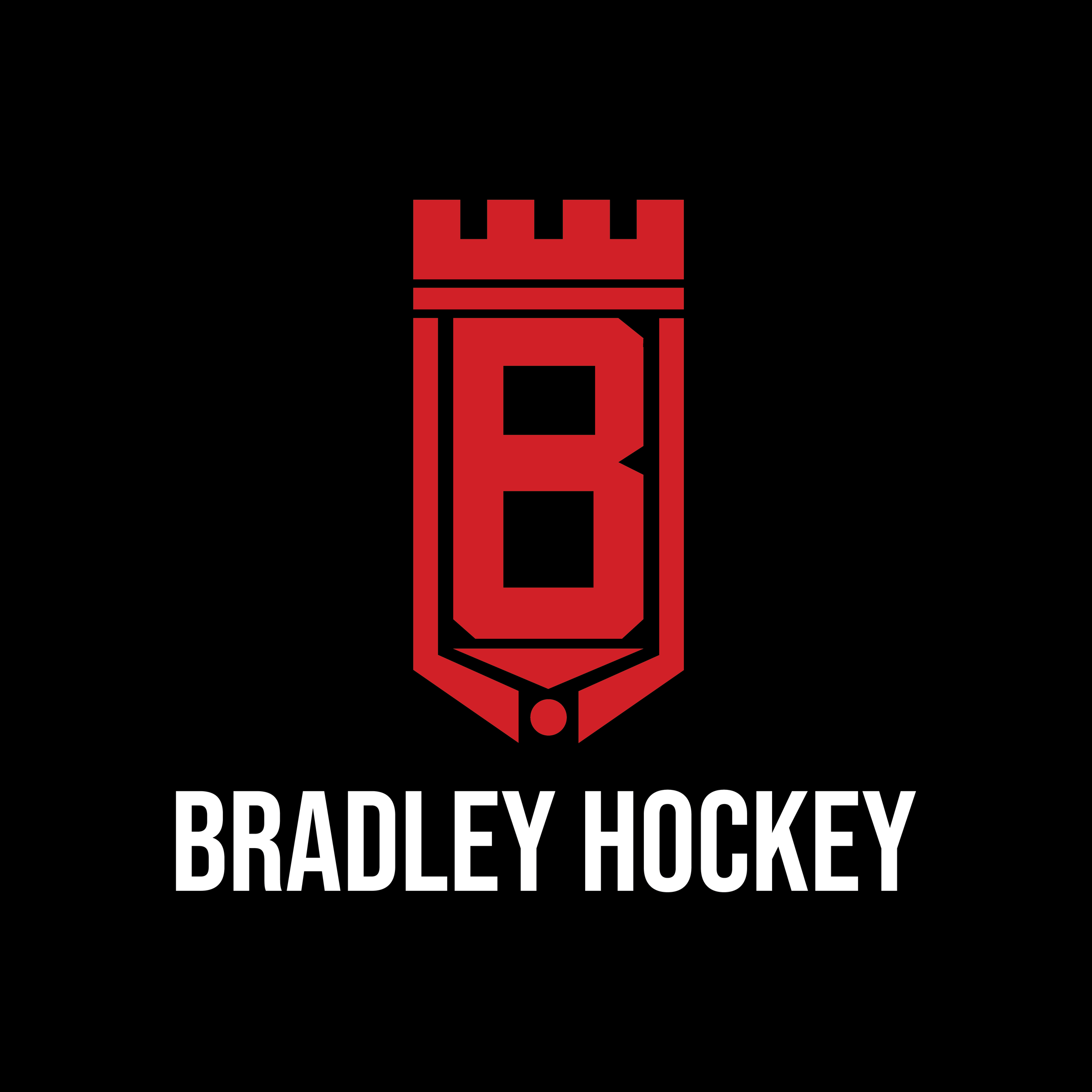 Bradley Braves Hockey, Peoria, Illinois